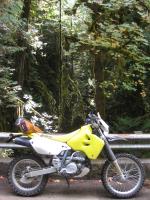 2005 DRZ400e