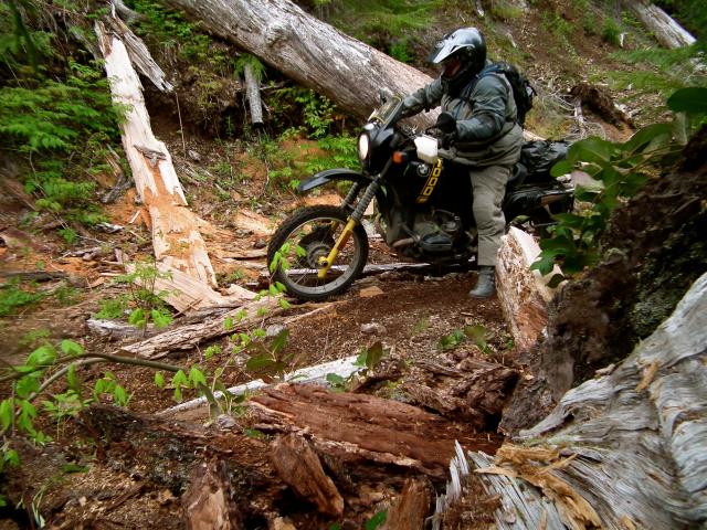 additional-photos-altrider-s-hoh-rainforest-ride-2013-5.jpg